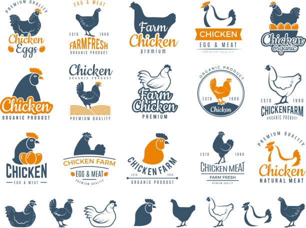 Chicken badges. Fresh farm food logotype cooking egg and bird broilers vector labels Chicken badges. Fresh farm food logotype cooking egg and bird broilers vector labels. Chicken egg and meat logotype, farm badge label illustration egg symbols stock illustrations