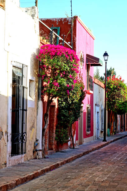 istock Mexico Queretaro city 1142831609