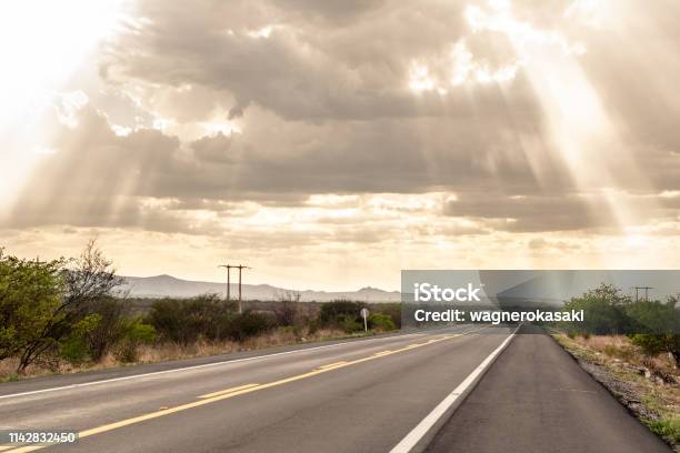 Road Crossing At Sertao Near Arcoverde City Pernambuco State Br 232 National Highway Stock Photo - Download Image Now