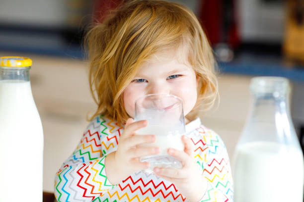 사랑 스러운 유아 여자 아침 식사 암소 우유를 마시는. 병이 많은 귀여운 아기 딸. 건강 한 아이 칼슘 소스로 우유를가지고. 아침에 집 이나 보육원에서 아이. - glasses child cute offspring 뉴스 사진 이미지