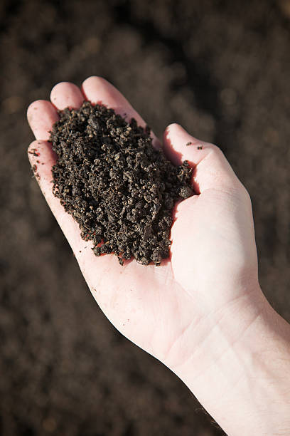 istock Hand full of Soil... 114283507