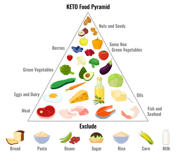 Keto diet concept Keto diet concept. Ketogenic diet macros pyramid diagram, low carbs, high healthy fat. Vector low body fat stock illustrations