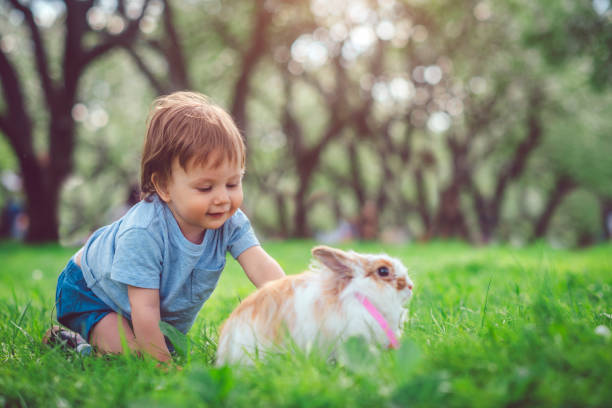 istock Cute little boy playing with bunny on Easter egg hunt 1142838624
