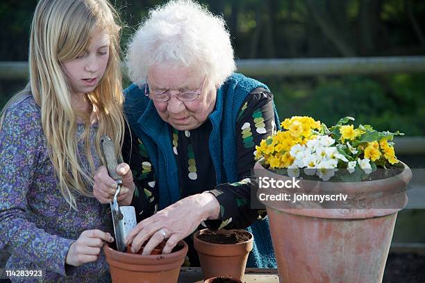 Gärtner Stockfoto und mehr Bilder von Aktiver Lebensstil - Aktiver Lebensstil, Aktiver Senior, Alter Erwachsener