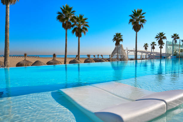 istock Resort infinity pool in a beach with palm trees 1142839964