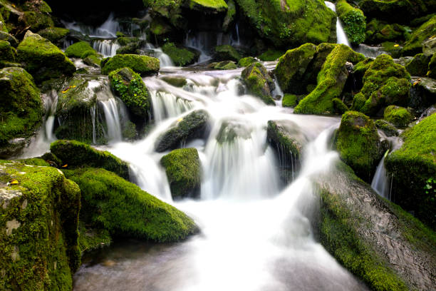 istock Moss and waterfall in the valley, Mossy valley 1142840346