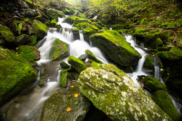 istock Moss and waterfall in the valley, Mossy valley 1142841233