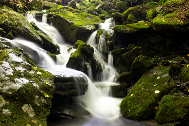 istock Moss and waterfall in the valley, Mossy valley 1142841246