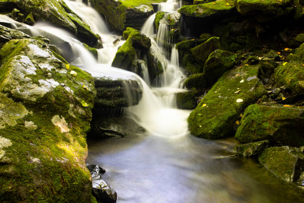 istock Moss and waterfall in the valley, Mossy valley 1142841312