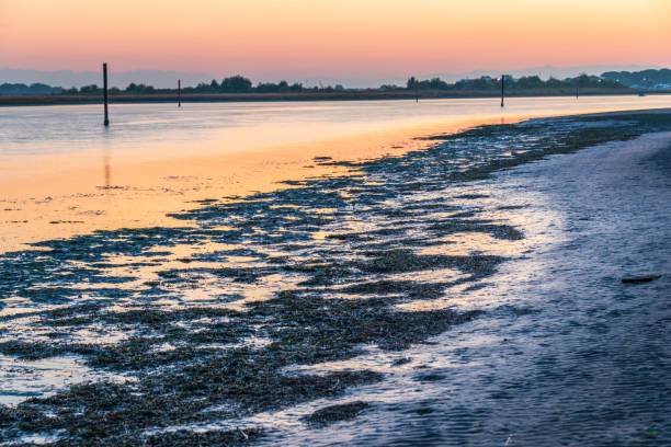 istock summer sunrise over Bibione beach 1142841954