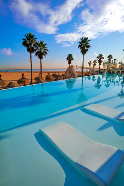 istock Resort infinity pool in a beach with palm trees 1142842036