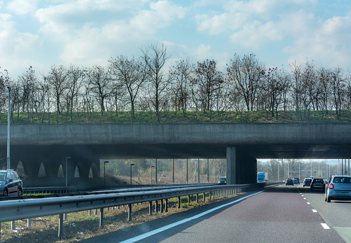 overpass with grass and trees  to let animals cross to other nature reserves
