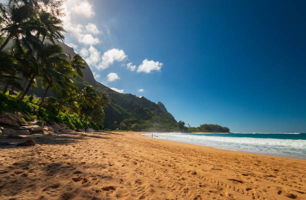 istock Tunnels Beach (Makua Beach), Kauai, Hawaii, USA 1142844931