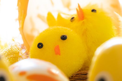 Easter decorations full with color, tiny chicks in close-up images