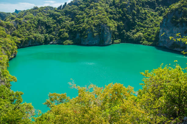 mae koh adası 'nda ta le nai lagoon, angthong ulusal deniz parkı, - angola stok fotoğraflar ve resimler