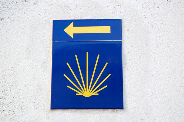Camino de Santiago Sign on White Wall Background