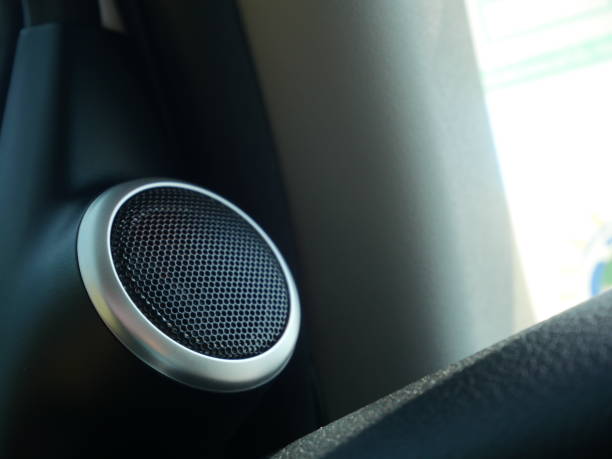 istock Tweeter speaker on car door 1142847796
