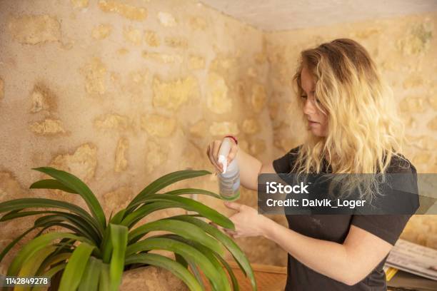 Young Woman Taking Care Of These Plants Stock Photo - Download Image Now - Adult, Adults Only, Beautiful Woman