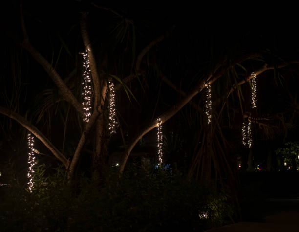 istock Pakarang beach bar lights at night 1142849461
