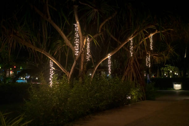istock Pakarang beach bar lights at night 1142849543