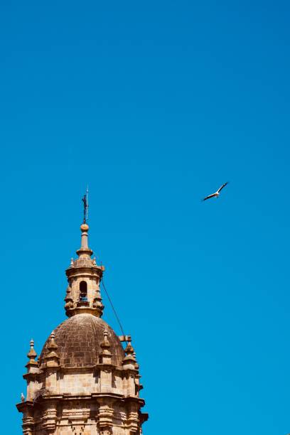 istock cathedral architecture in Bilbao city 1142851208