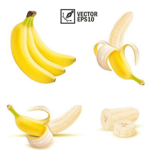 3d realistic isolated vector peeled and whole banana fruit, pieces and slices of banana 3d realistic isolated vector peeled and whole banana fruit, pieces and slices of banana banana stock illustrations