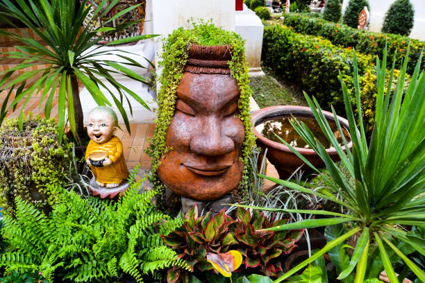 istock Plant care pic 2 (Roh) 1142852812