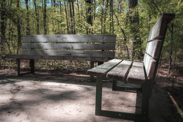 panchina di legno nel parco di arboretum a little rock, arkansas, stati uniti - pinnacle foto e immagini stock