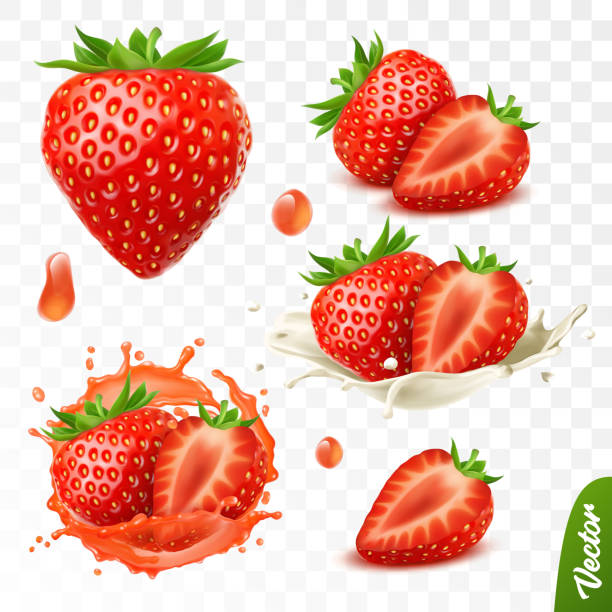 ilustraciones, imágenes clip art, dibujos animados e iconos de stock de 3d realista conjunto vectorial aislado, entero y rebanada de fresa, fresa en un chorrito de jugo con gotas, fresa en un chorrito de leche o yogur - strawberry