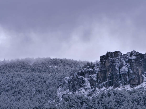 istock Scene with snowy mountain, fog and pine trees 1142855717