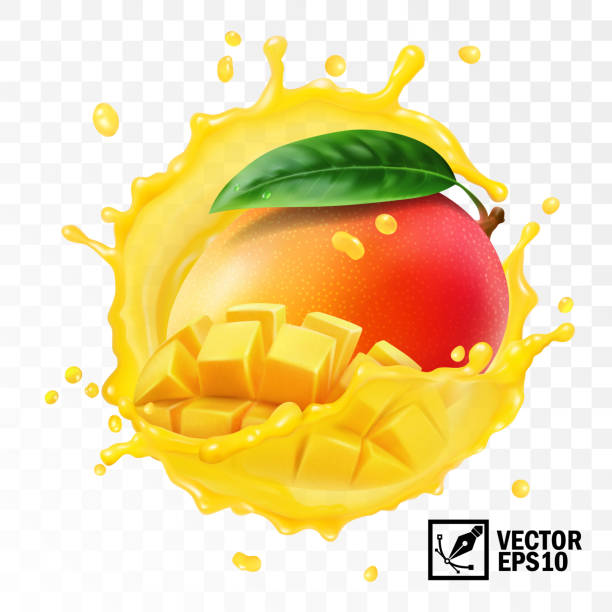 illustrations, cliparts, dessins animés et icônes de 3d réaliste transparent vecteur isolé, entier et morceaux de mangue fruits avec feuille dans une éclaboussure de jus avec des gouttes - juicy