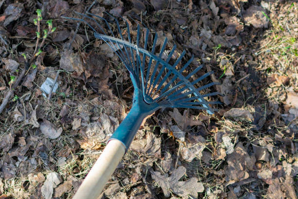 istock rake last year foliage and trash, clean the garden 1142857501