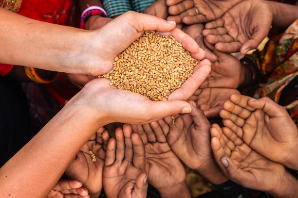 istock Poor Indian children asking for food, India 1142857513