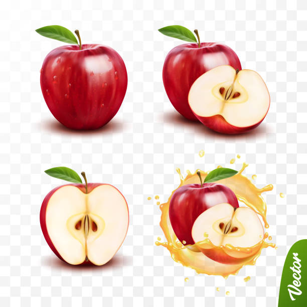 ilustraciones, imágenes clip art, dibujos animados e iconos de stock de 3d realista conjunto vectorial aislado, entero y rebanada de manzana, manzana en un chorrito de jugo con gotas - apple