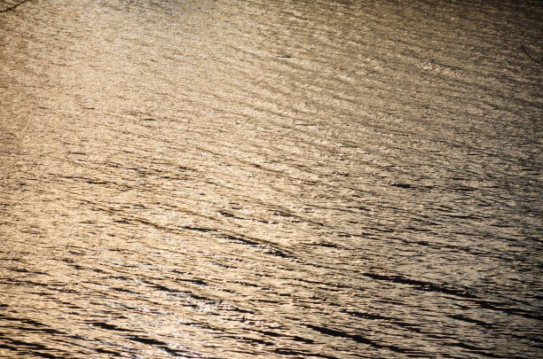 istock Water surface in the light of the setting sun 1142860671