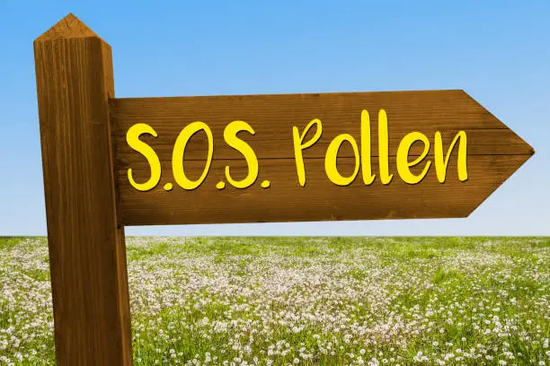 Sign with the Text SOS Pollen standing on a Spring Meadow