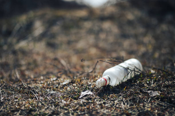 istock Empty white glass bottle lying on grass in early spring, polluted, conservancy. rubbish after last snows of winter 1142864933