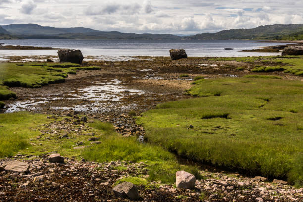 Typical landscape on the Gaelic peninsula Applecross Typical landscape with coast and pastures on the Gaelic peninsula Applecross, Strathcarron, Inner Hebrides, Scotland, UK applecross peninsula stock pictures, royalty-free photos & images