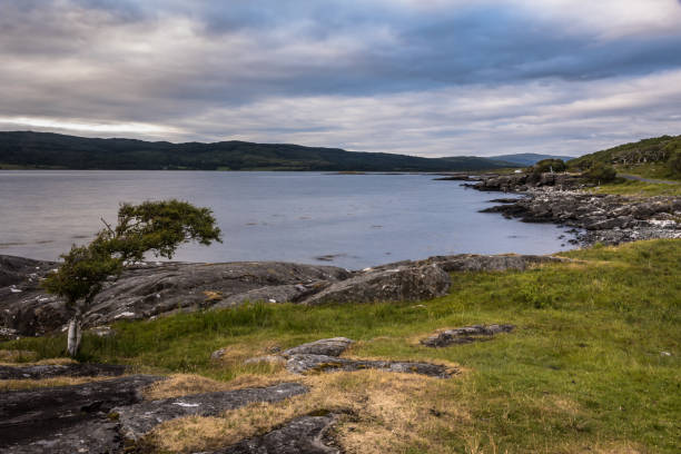 istock typical landscapeof the Isle of Mull, Inner Hebride 1142866800
