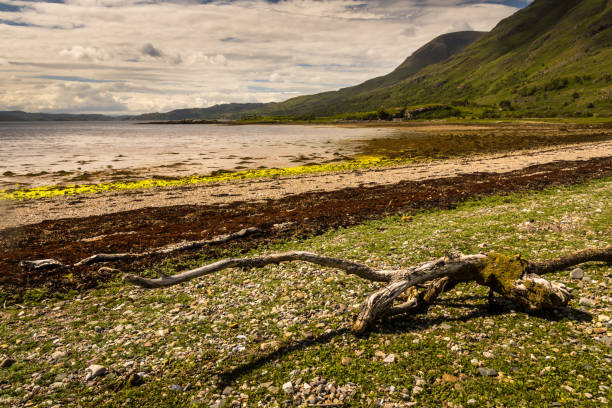 Typical landscape on the Gaelic peninsula Applecross Typical landscape at coast on the Gaelic peninsula Applecross, Strathcarron, Inner Hebrides, Scotland, UK applecross peninsula stock pictures, royalty-free photos & images