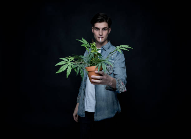istock Handsome young man is holding a marijuana plant 1142869139
