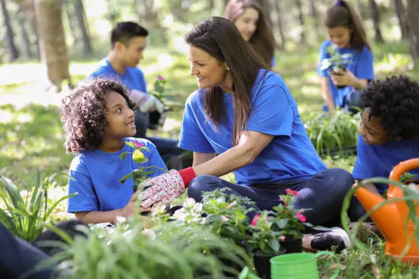 Photo of Environmental beautification. Volunteers plant flowers, plants at local park in spring.