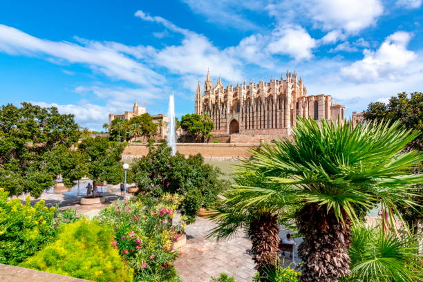 palma de mallorca, ispanya (la seu) santa maria katedrali - palma majorca stok fotoğraflar ve resimler