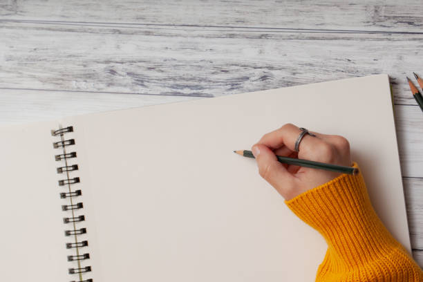 istock Woman artist hand drawing on sketchbook 1142871116