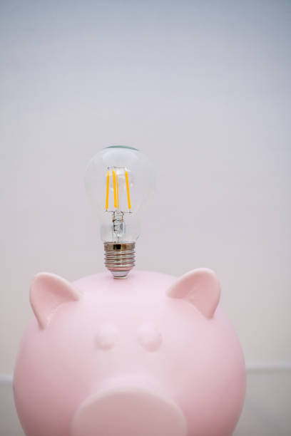 istock Piggy Bank with Energy Saving Bulb 1142871228