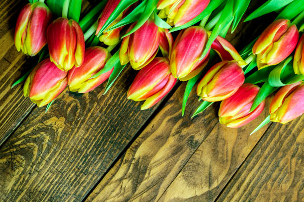 istock orange yellow colored tulips on wooden background. Top view. 1142872835