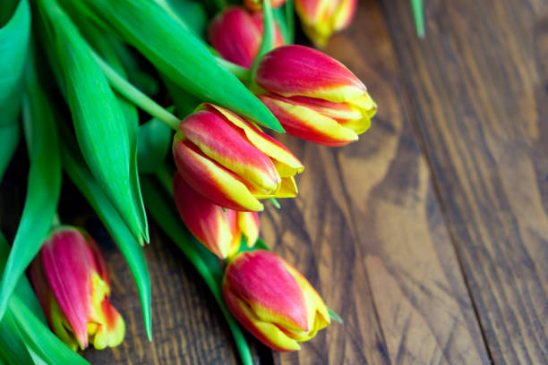 istock orange yellow colored tulips on wooden background. Top view. 1142872845