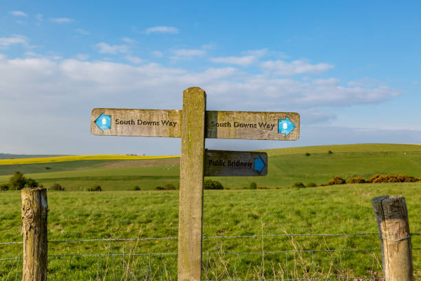 a lo largo de south downs way - south downs fotografías e imágenes de stock