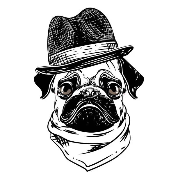 Vector illustration of Vector image of a pug in a hat and scarf. T shirt design