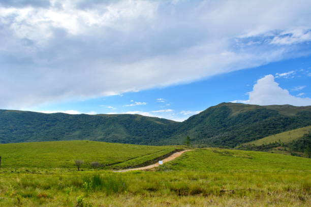 istock Landscapes of Fields Campos do Quiriri 1142873951